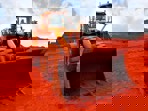 Alternate Text