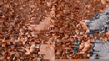 From loss to lead: Boksit’s profit soars despite 14% revenue dip