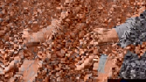 From loss to lead: Boksit’s profit soars despite 14% revenue dip