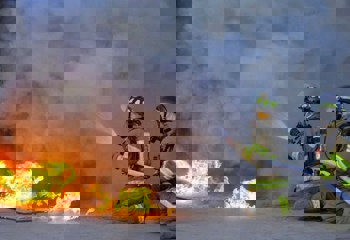 Bigger capacity, greater impact? Assessing if Novelis faces a deeper fiscal blow from Oswego fire than Sierre flood