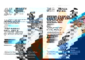 UNU-INRA pushes Africa to claim its place in the critical minerals race