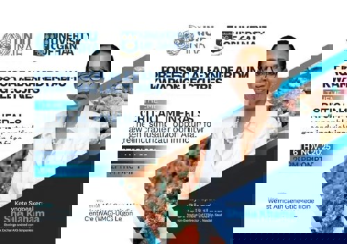 UNU-INRA pushes Africa to claim its place in the critical minerals race