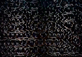 Oct’25: China’s aluminium imports continue to grow as price gap widens