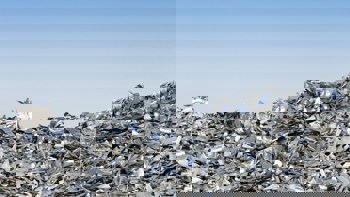 When aluminium is a mirror: A month of energy, inequality, and the cost of industrial change