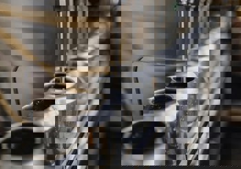 Meadow partners with East Coast Canning to launch resealable aluminium cans