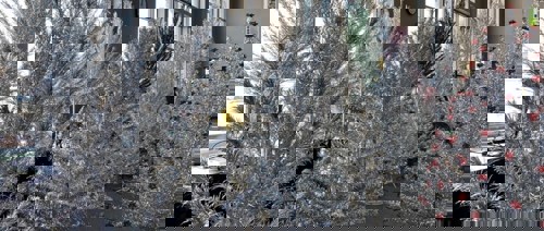 Aluminium Christmas trees take centre stage at Manitowoc Public Library