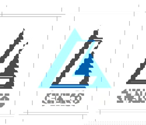 CHALCO unwraps phase 2 of the 2021 restricted share incentive programme