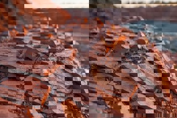 Guinea-led bauxite boom reinforces capesize freight prospects in 2026