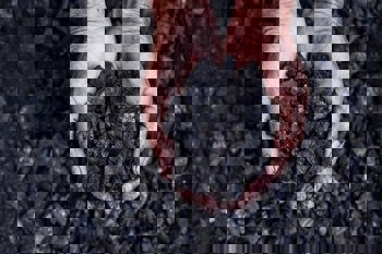 GACC: China's coal imports hit record high in December