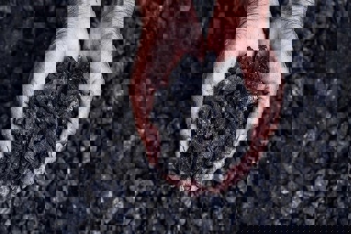 GACC: China's coal imports hit record high in December