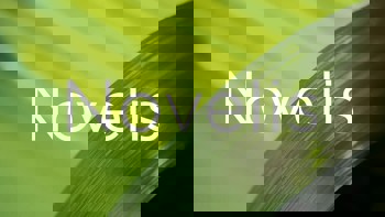 Novelis’ Q3 FY2026 is about two forces pulling in opposite directions – high premiums lift net sales, Oswego fire dents EBITDA and income