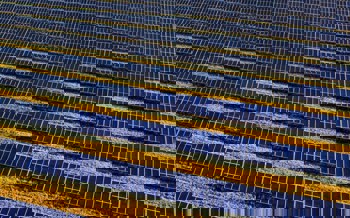 Renewable energy is changing the ecological scenario of this desert in China