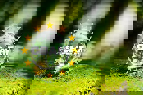 ALFED submits response to UK CBAM consultation, urging Government to provide urgent clarity for industry