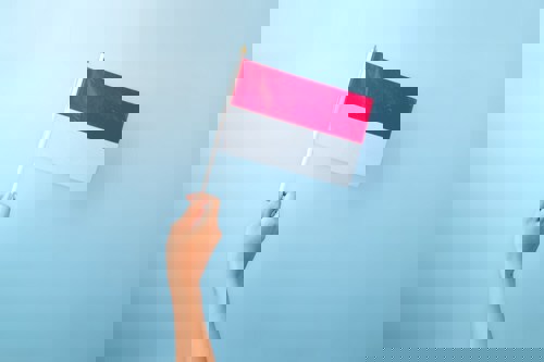 Indonesia’s bauxite supply may fall short as aluminium and alumina capacity expand