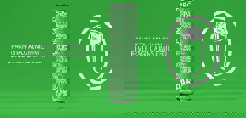 PABC pushes ahead with $110M can plant in Afghanistan despite the border closure