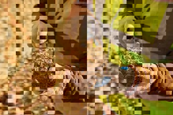 SAGA metals to acquire Wolverine REE project to expand rare earth portfolio