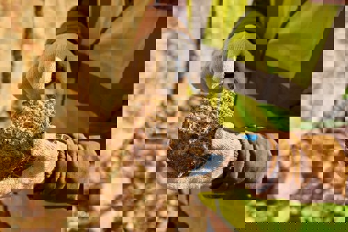 SAGA metals to acquire Wolverine REE project to expand rare earth portfolio