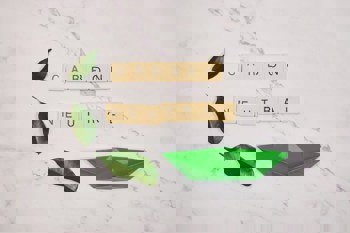 Short-term relief, long-term strain: CCTS impact on cement and aluminium sectors