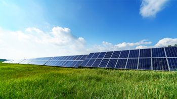 Indian renewable energy, driven by solar, contributes 22% to the 256GW peak demand