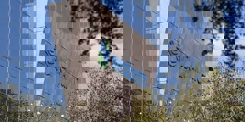 Pallavi Bhatia joins Vedanta to lead HR for the aluminium division