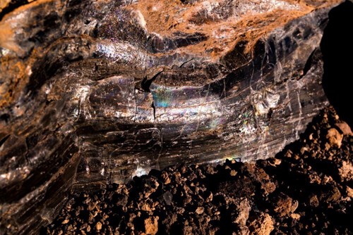 US rare earth stocks improve as Trump-backed policy reshapes the sector