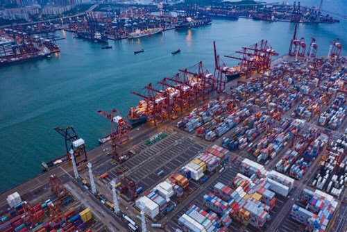 Chinese ports attract global interest as industry leaders explore cooperation opportunities