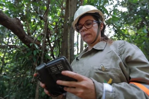 Brazil–Norway research partnership launches book on the biodiversity of the Amazon rainforest