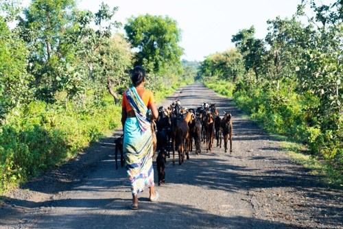 Vedanta Aluminium expands youth skill development programme in Odisha coal mining regions